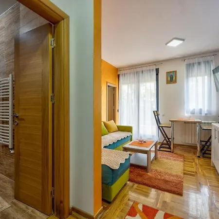 Jevtic Apartment Zlatibor